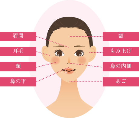 顔の脱毛部位
