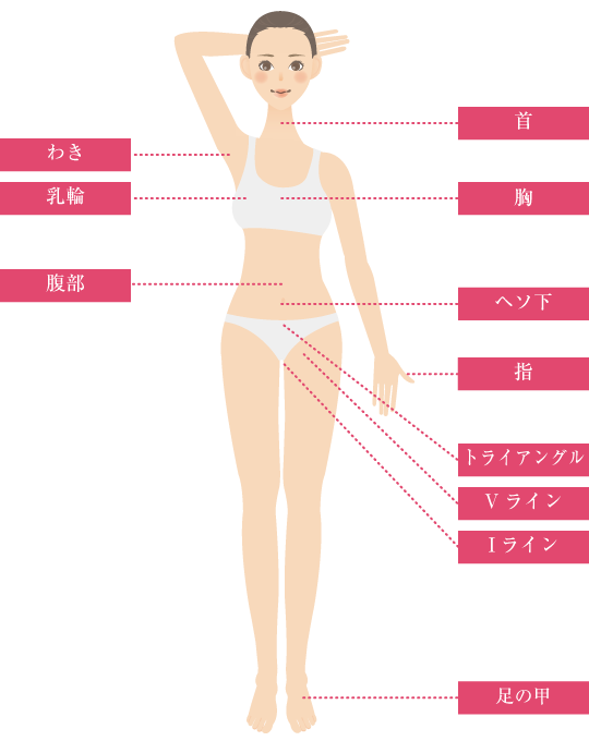体の前面の脱毛部位