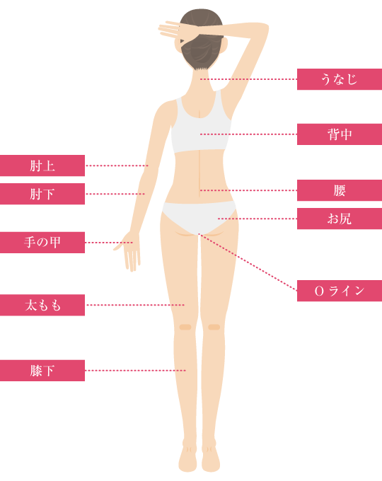 体の背面の脱毛部位